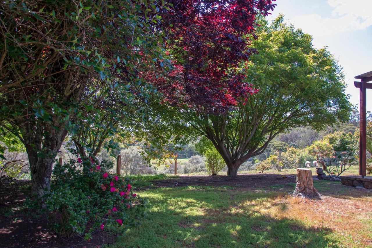 Stargazers Villa Pemberton Exterior photo